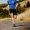 muscular-athlete-men-runner-2021-08-26-15-33-05-utc-1200x800